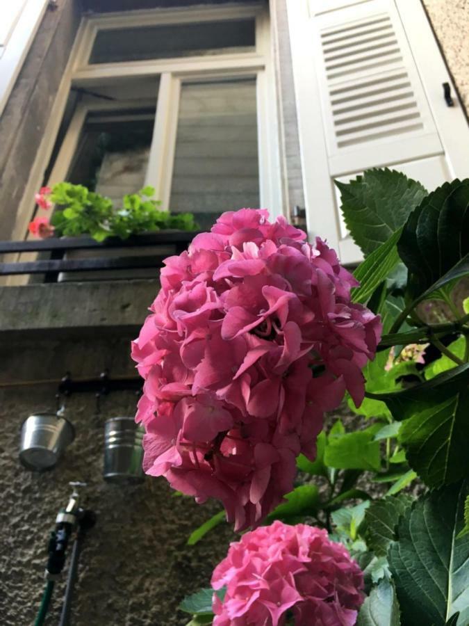 Schloss Apartment, Zentrum Baden-Baden Eksteriør bilde